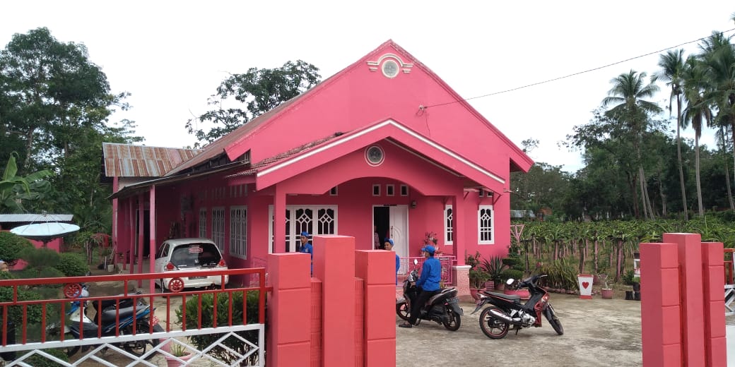 Detail Rumah Nuansa Pink Nomer 34