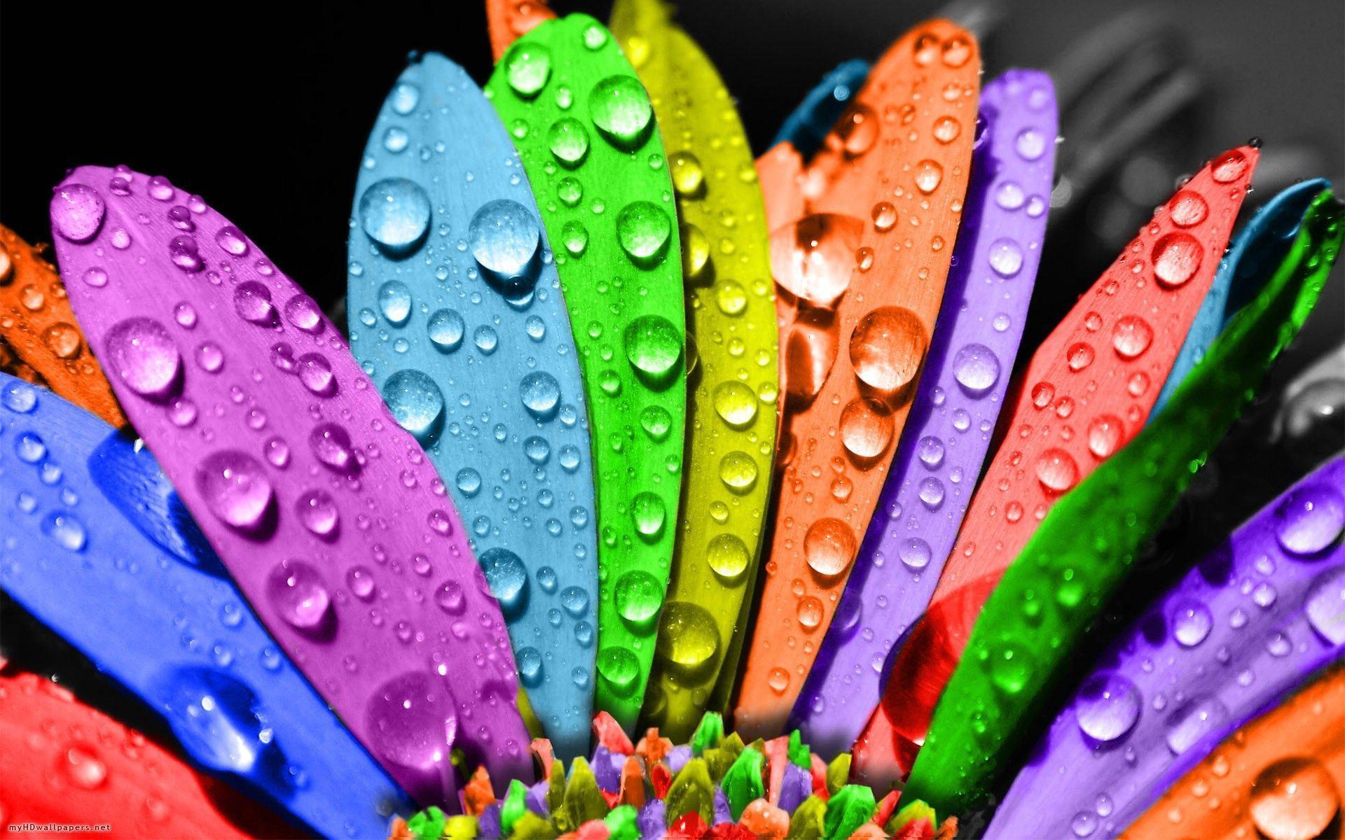 Detail Wallpaper Colourful Hd Nomer 19