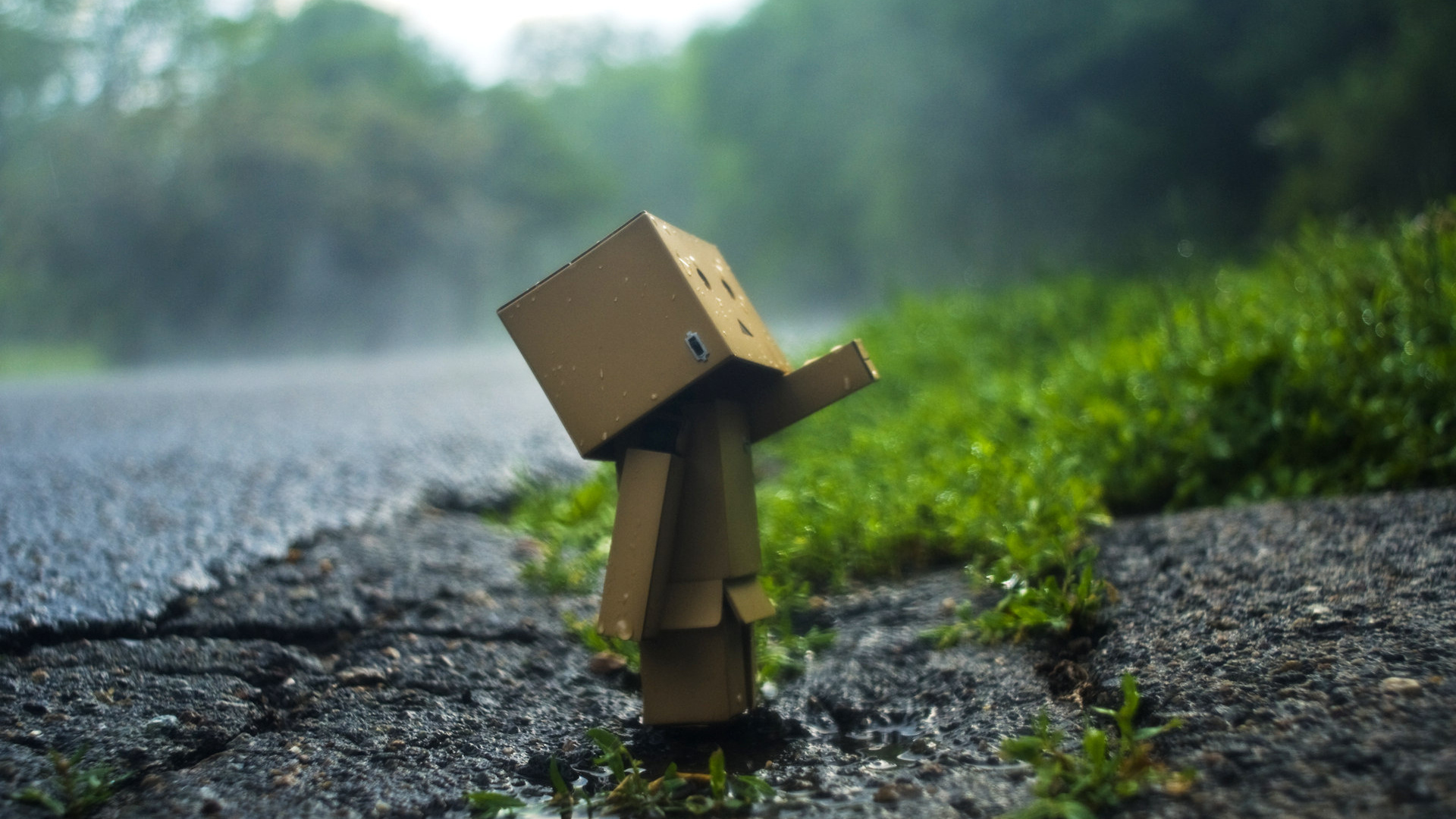 Detail Wallpaper Danbo Bergerak Nomer 16