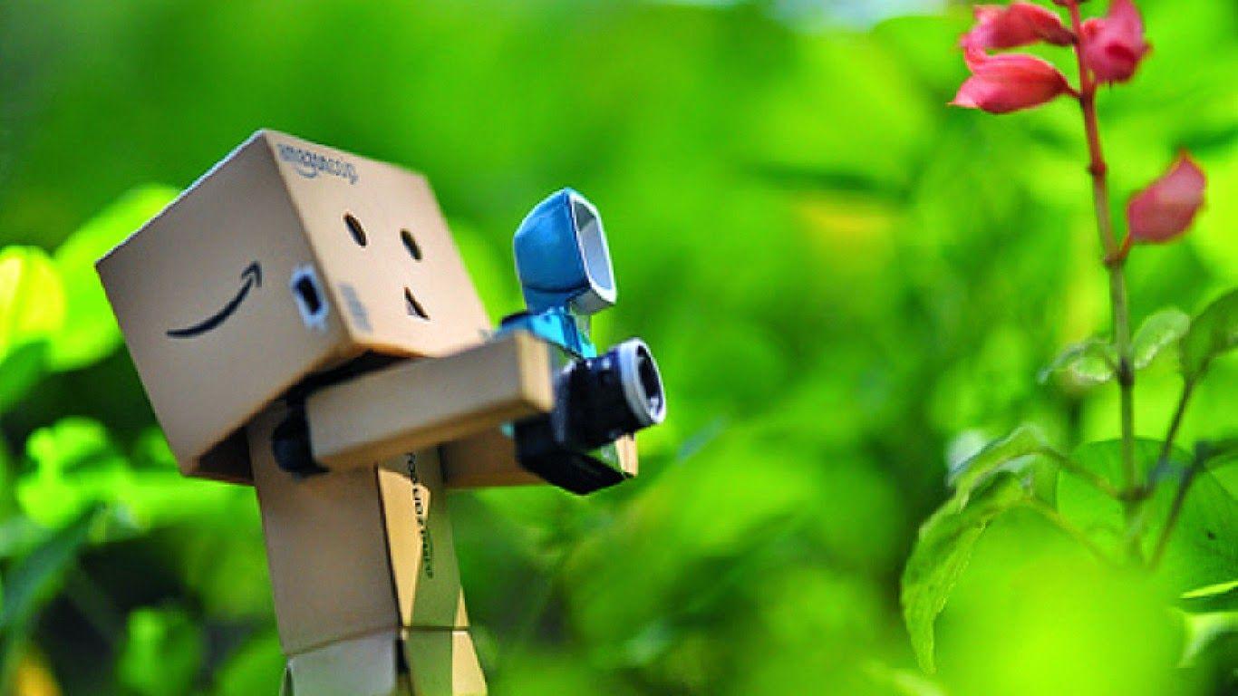 Detail Wallpaper Danbo Bergerak Nomer 25