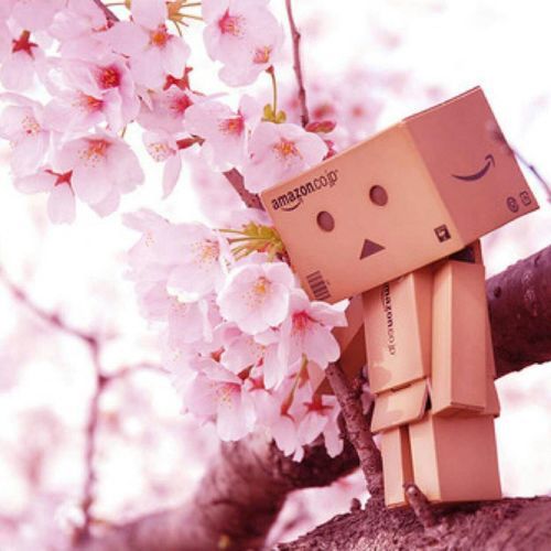 Detail Wallpaper Danbo Lucu Nomer 44