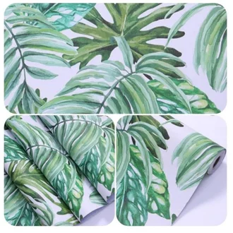 Detail Wallpaper Daun Monstera Nomer 40