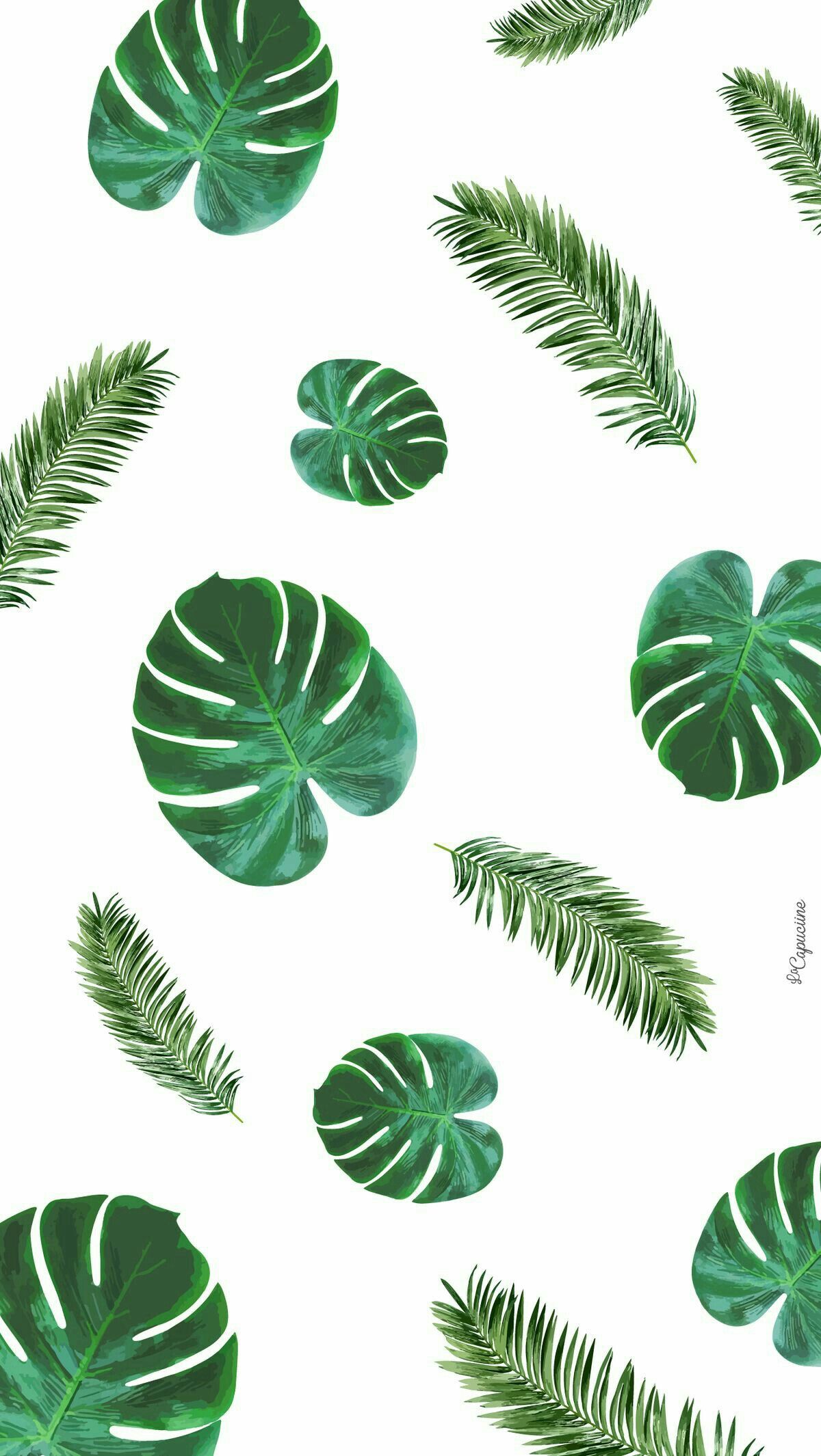 Detail Wallpaper Daun Tumblr Nomer 18