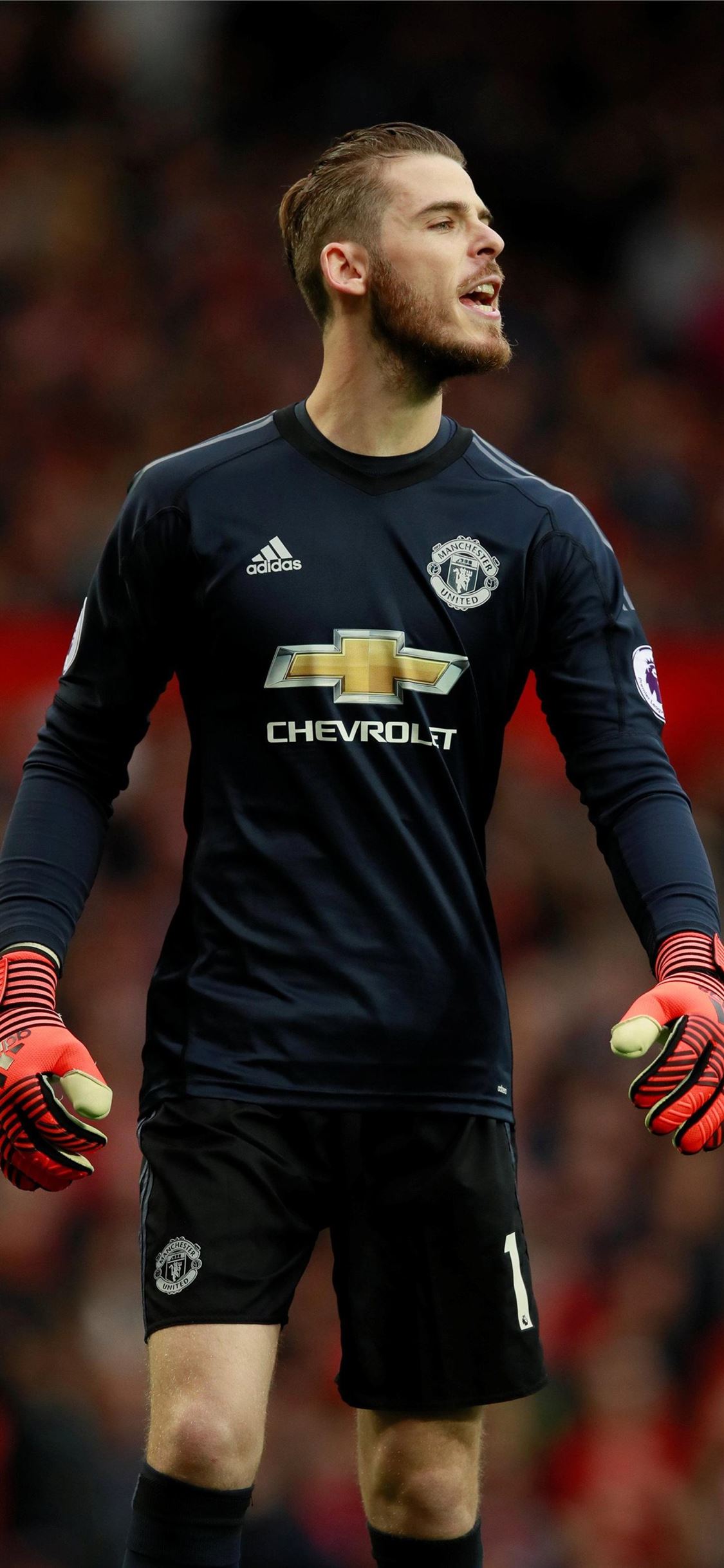 Detail Wallpaper David De Gea Nomer 18