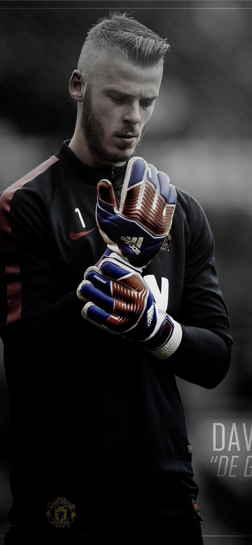 Detail Wallpaper David De Gea Nomer 5