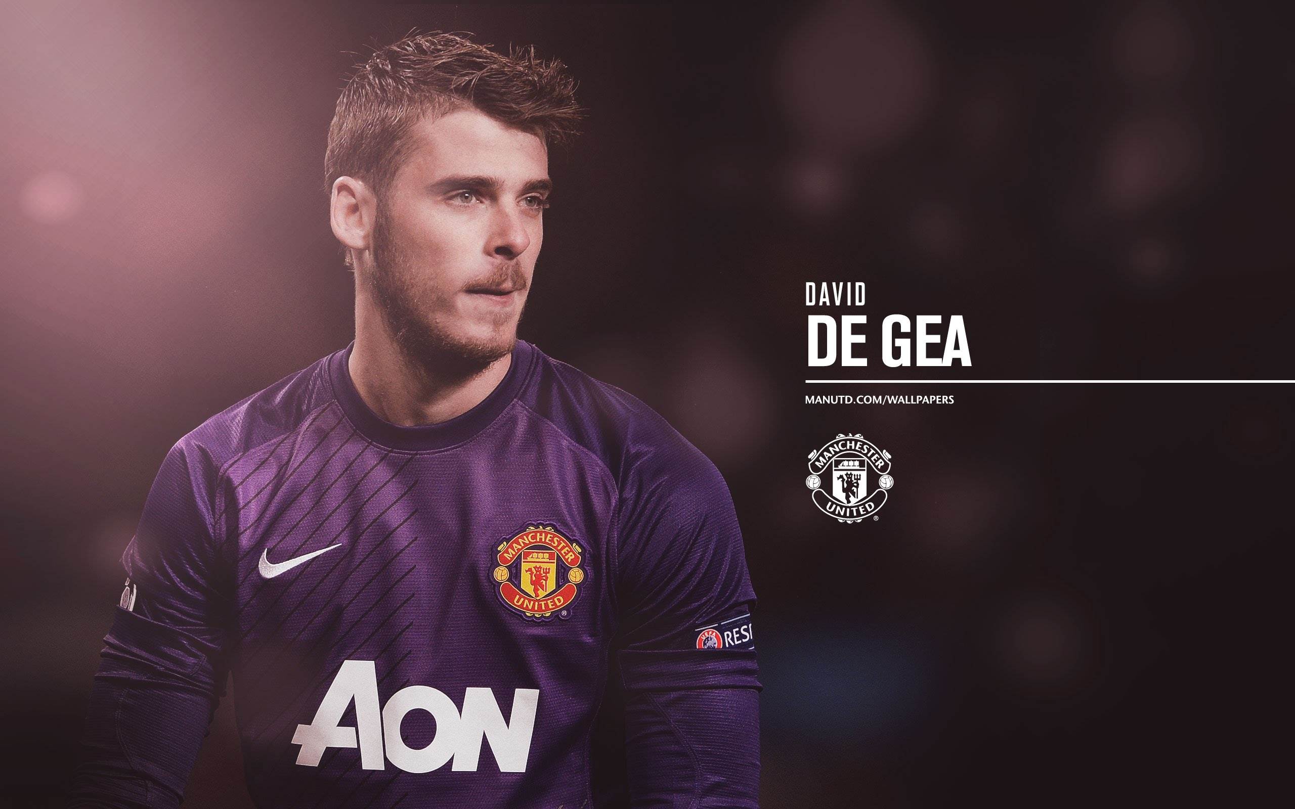 Detail Wallpaper David De Gea Nomer 52