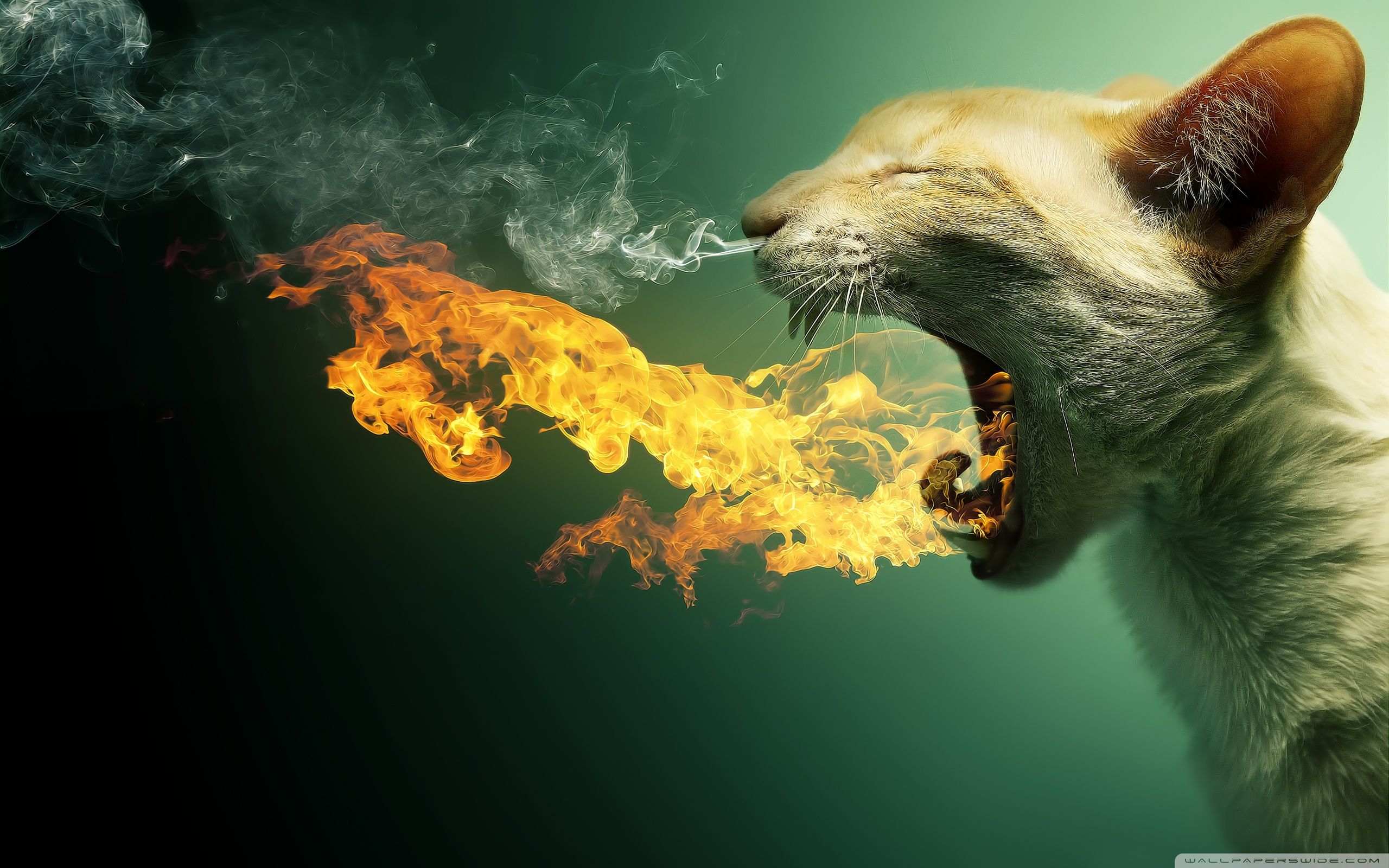 Detail Wallpaper Desktop Komputer Keren Nomer 3