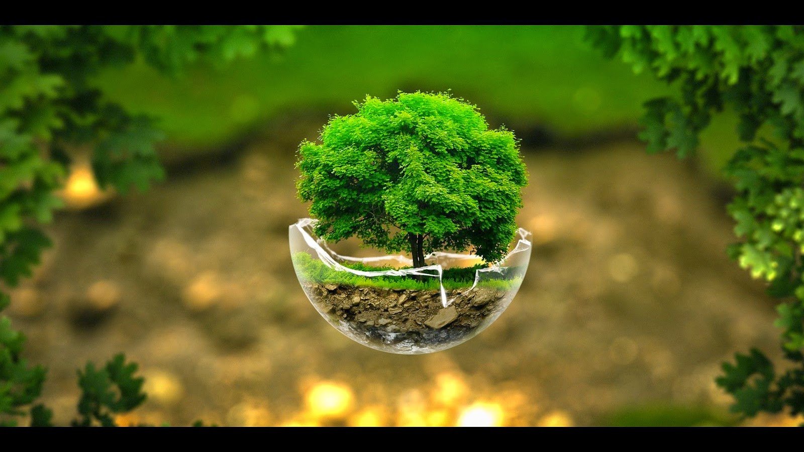 Detail Wallpaper Desktop Komputer Keren Nomer 5