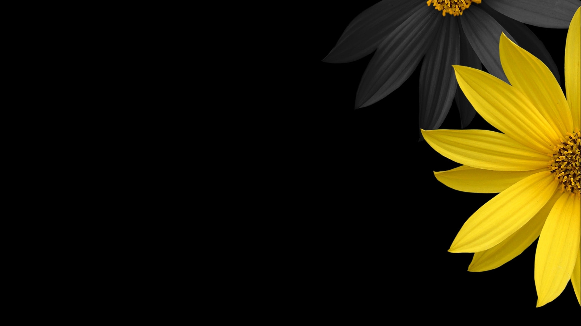 Detail Wallpaper Desktop Simple Nomer 21