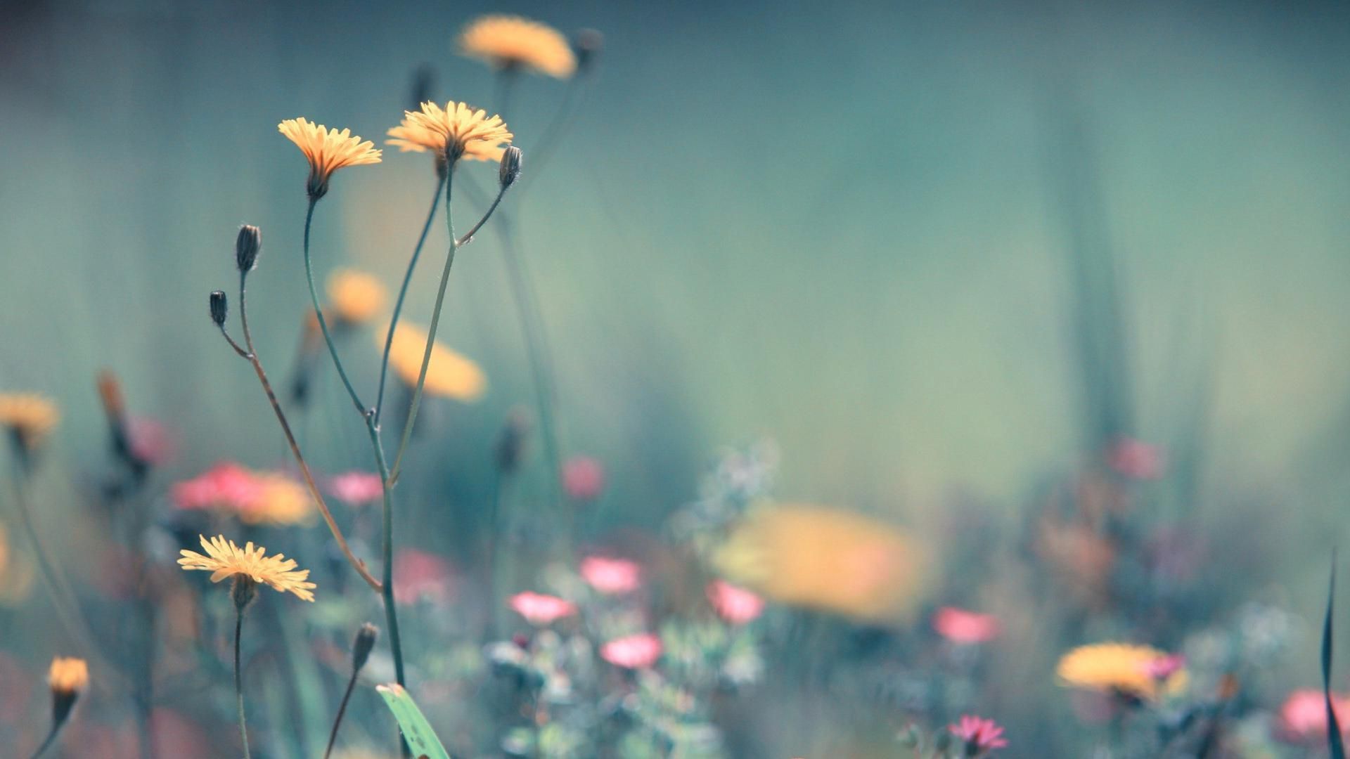 Detail Wallpaper Desktop Simple Nomer 39