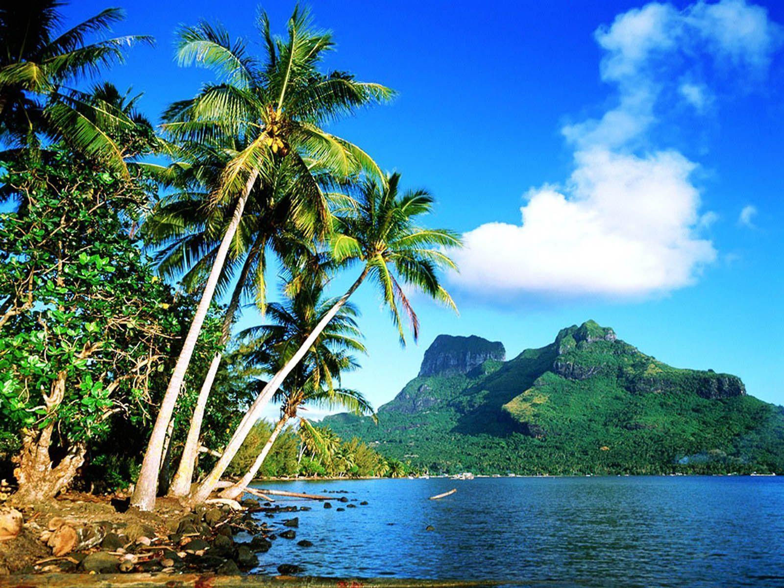 Detail Wallpaper Di Pantai Nomer 15