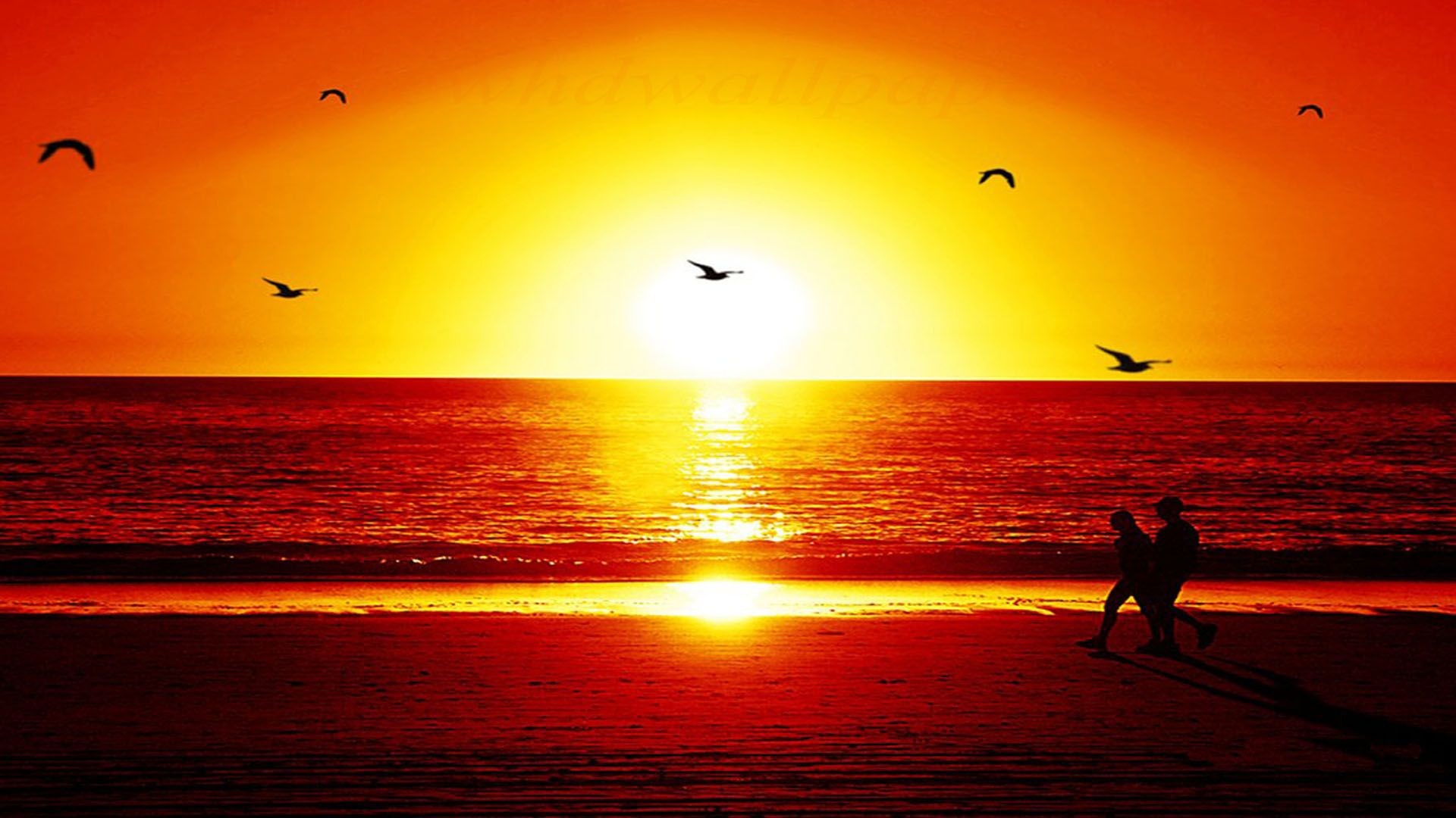 Detail Wallpaper Di Pantai Nomer 34