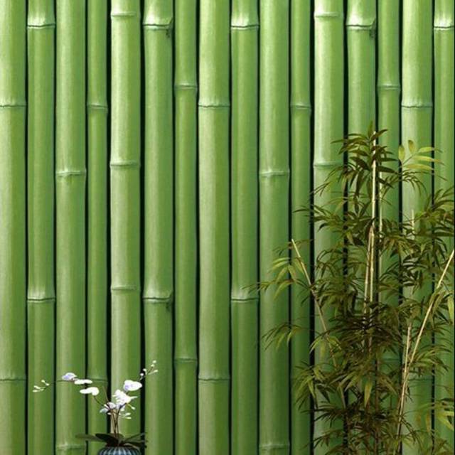 Detail Wallpaper Dinding Bambu 3d Nomer 4