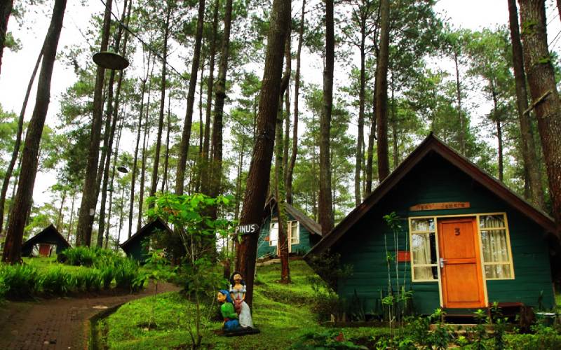 Detail Rumah Panggung Grafika Cikole Nomer 11