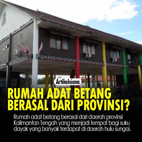 Detail Rumah Panjang Berasal Dari Nomer 33