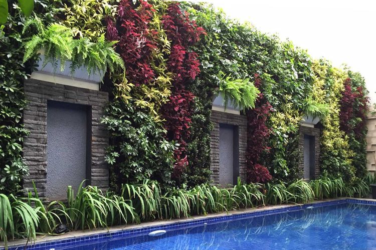 Detail Rumah Penuh Tanaman Nomer 43