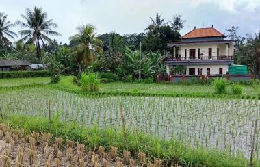 Detail Rumah Pinggir Sawah Nomer 41