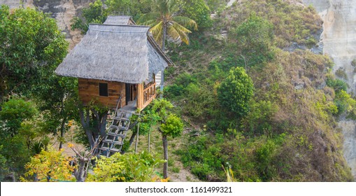 Detail Rumah Pohon Batu Nomer 42