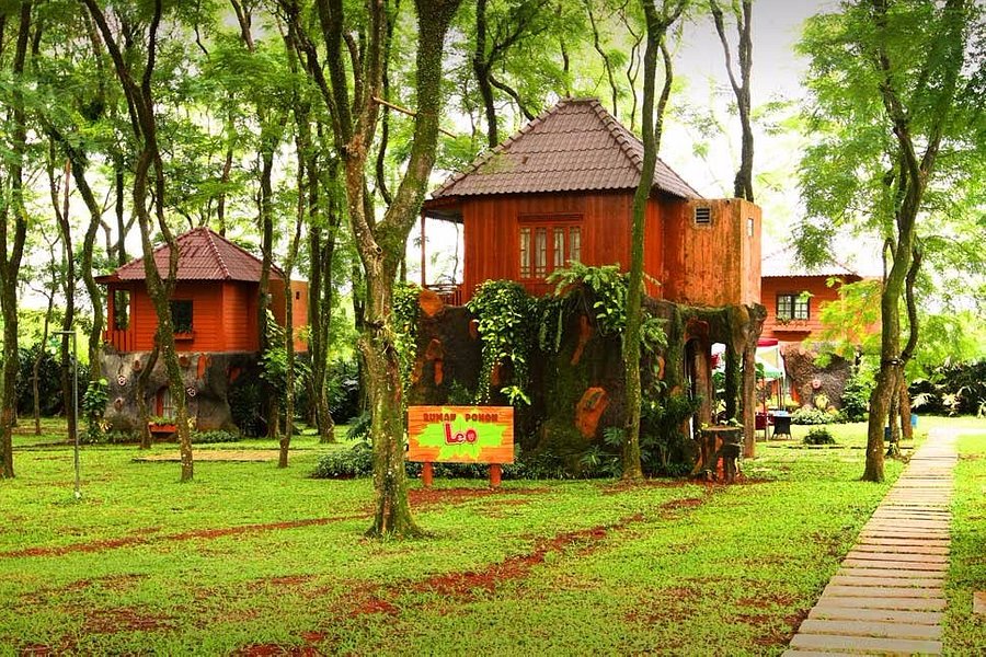 Rumah Pohon Bogor - KibrisPDR