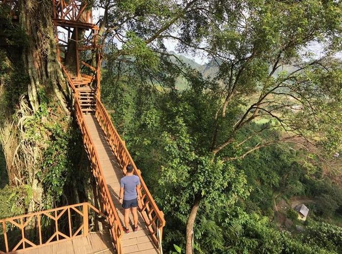 Rumah Pohon Curug Ciherang - KibrisPDR