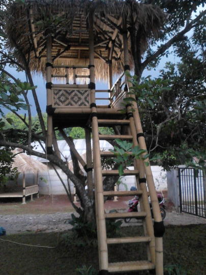Rumah Pohon Dari Bambu - KibrisPDR