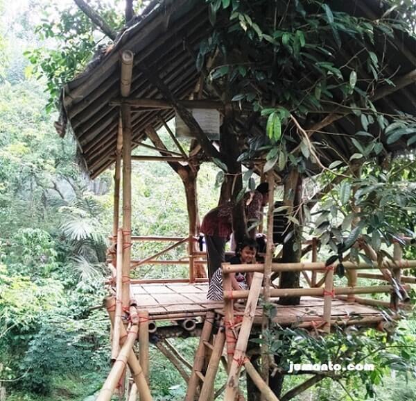 Detail Rumah Pohon Dari Bambu Nomer 26
