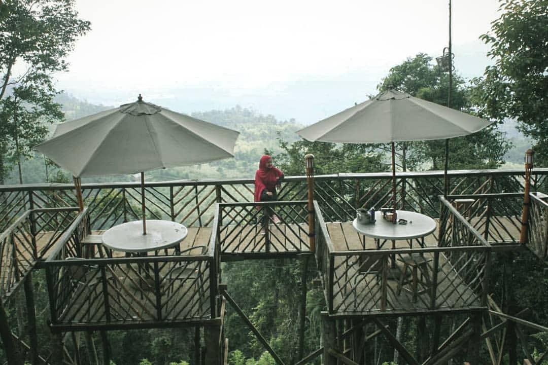 Detail Rumah Pohon Habitat Langkat Nomer 16