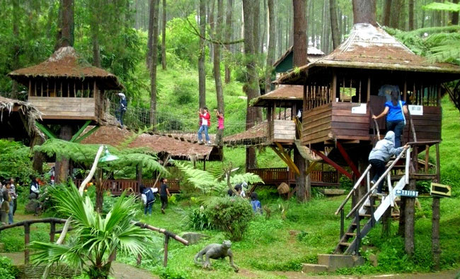 Rumah Pohon Jati Asih Bekasi - KibrisPDR