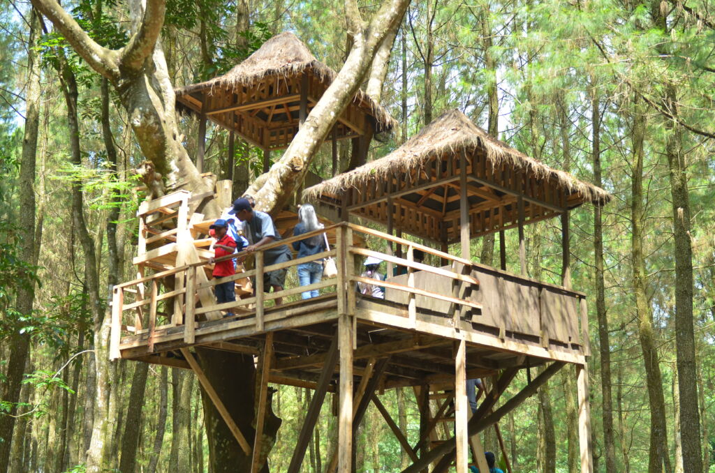 Detail Rumah Pohon Jati Asih Bekasi Nomer 51