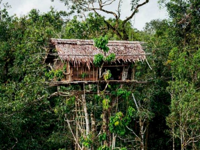 Detail Rumah Pohon Korowai Nomer 3