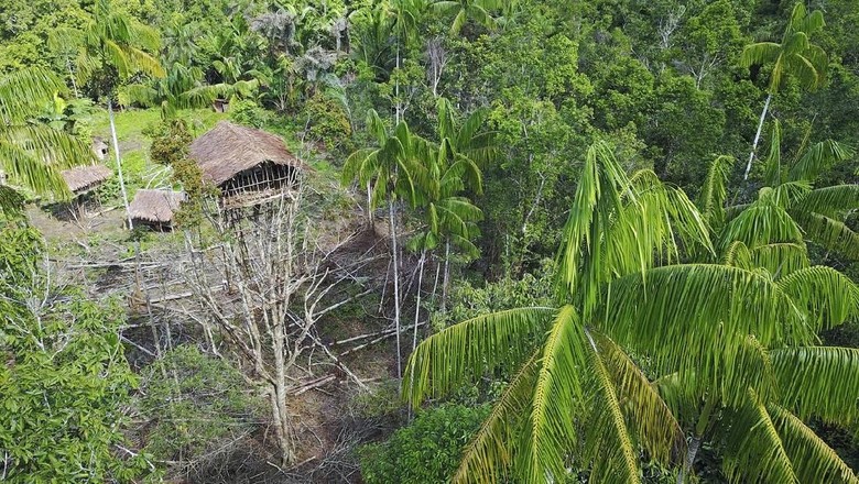 Detail Rumah Pohon Korowai Nomer 7