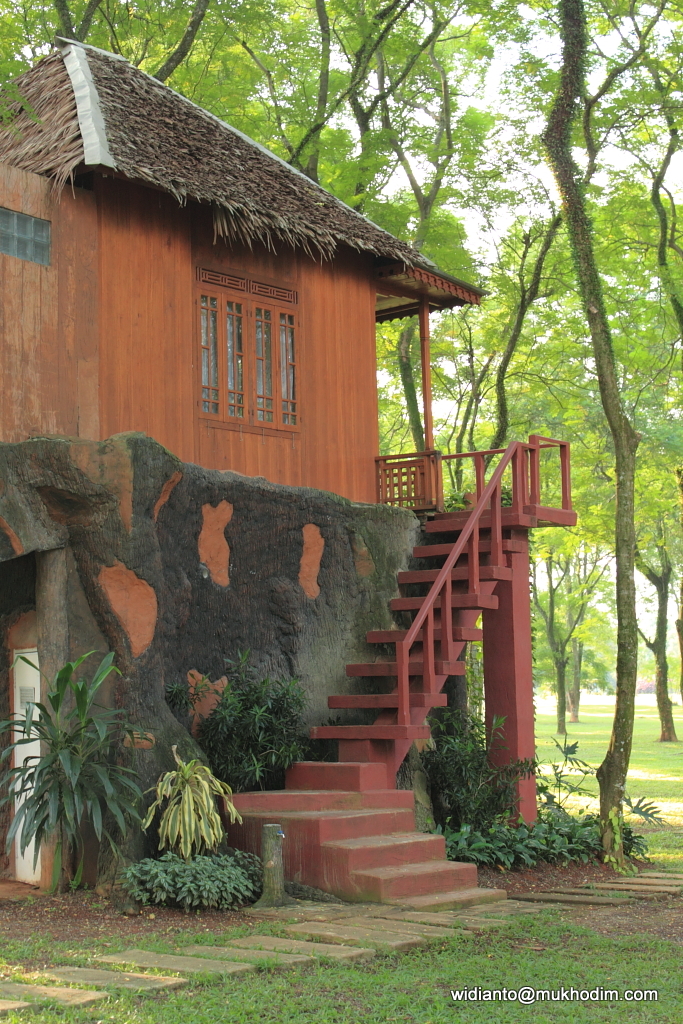 Detail Rumah Pohon Leo Nomer 24