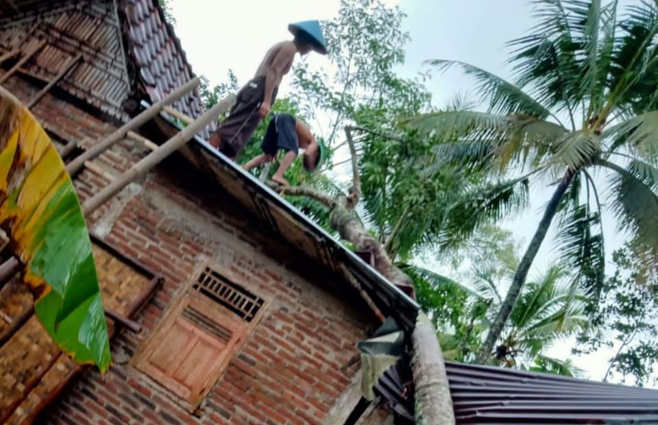 Detail Rumah Pohon Purbalingga Nomer 29