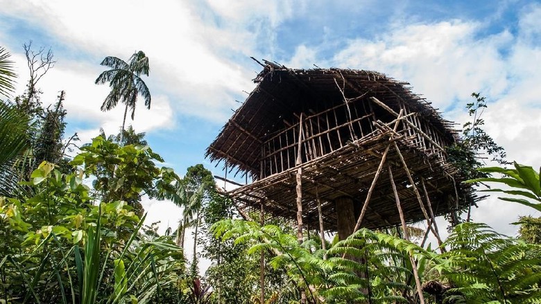 Detail Rumah Pohon Suku Korowai Nomer 12