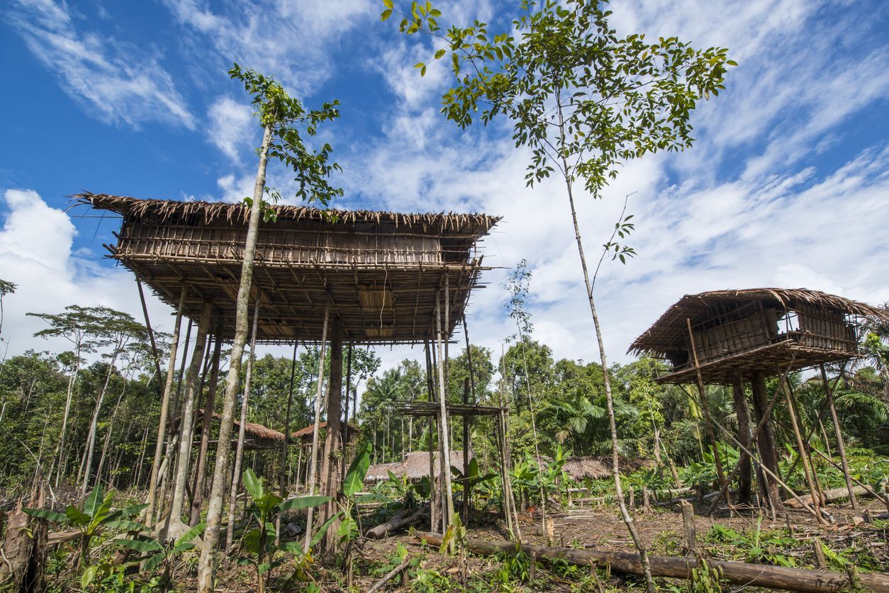 Detail Rumah Pohon Suku Korowai Nomer 20