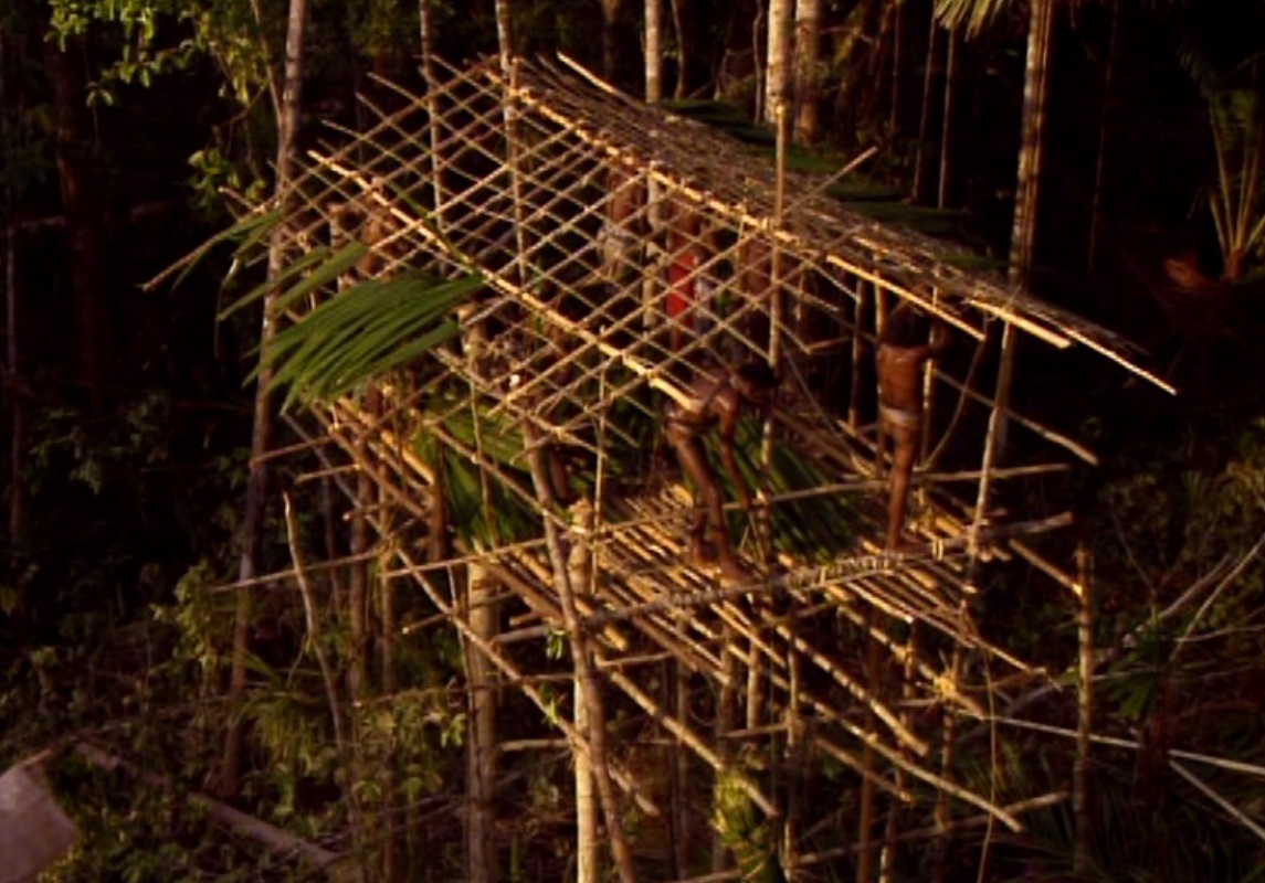 Detail Rumah Pohon Suku Korowai Nomer 45