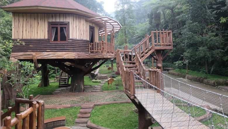 Detail Rumah Pohon Taman Safari Lodge Nomer 14