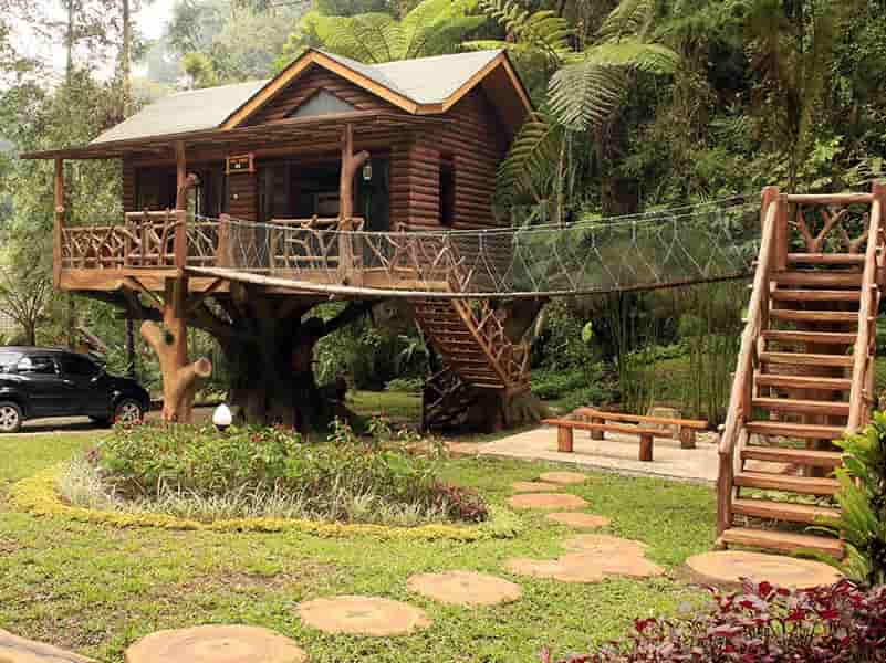 Detail Rumah Pohon Taman Safari Lodge Nomer 4