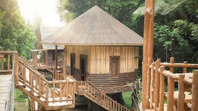 Detail Rumah Pohon Taman Safari Lodge Nomer 54