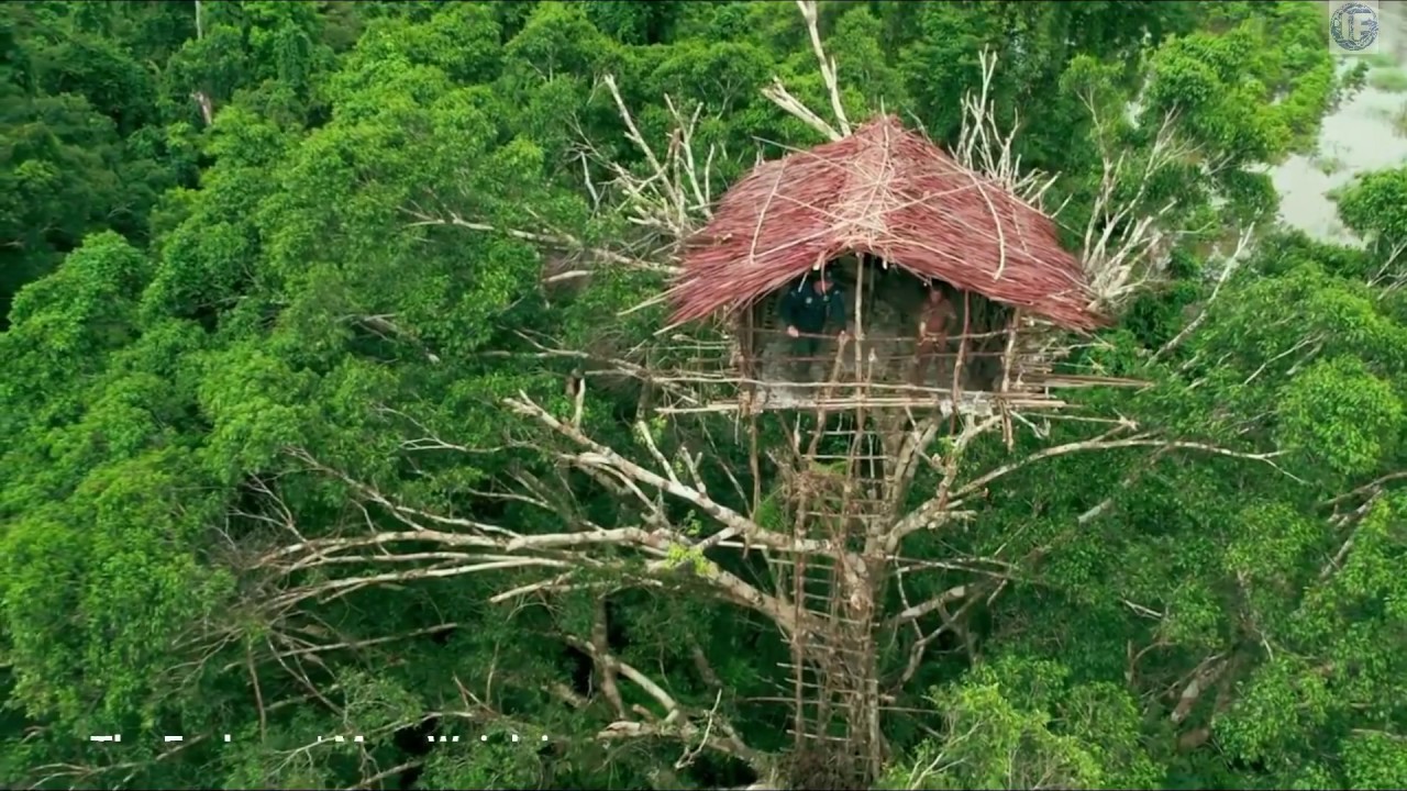 Detail Rumah Pohon Tertinggi Di Dunia Nomer 20