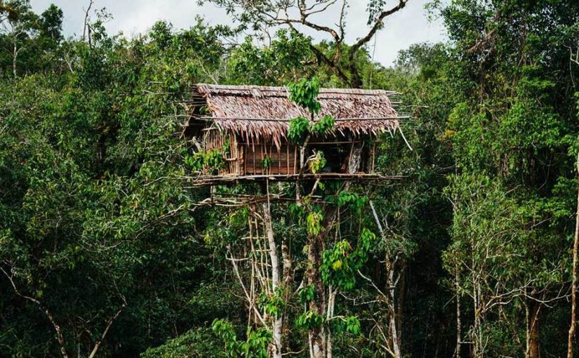 Detail Rumah Pohon Tertinggi Di Dunia Nomer 40