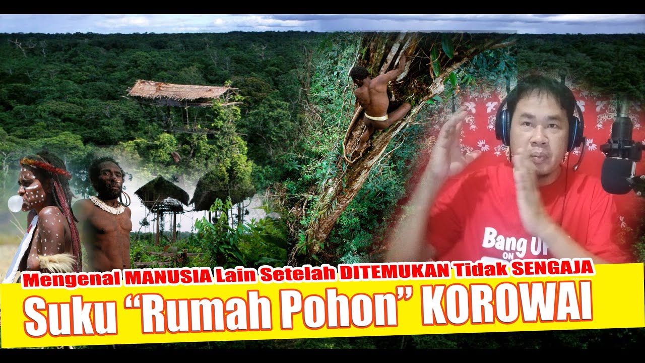 Detail Rumah Pohon Tertinggi Di Dunia Nomer 42