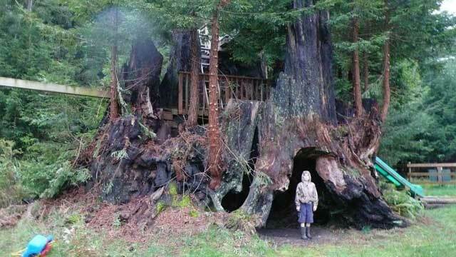 Detail Rumah Pohon Tertinggi Di Dunia Nomer 51
