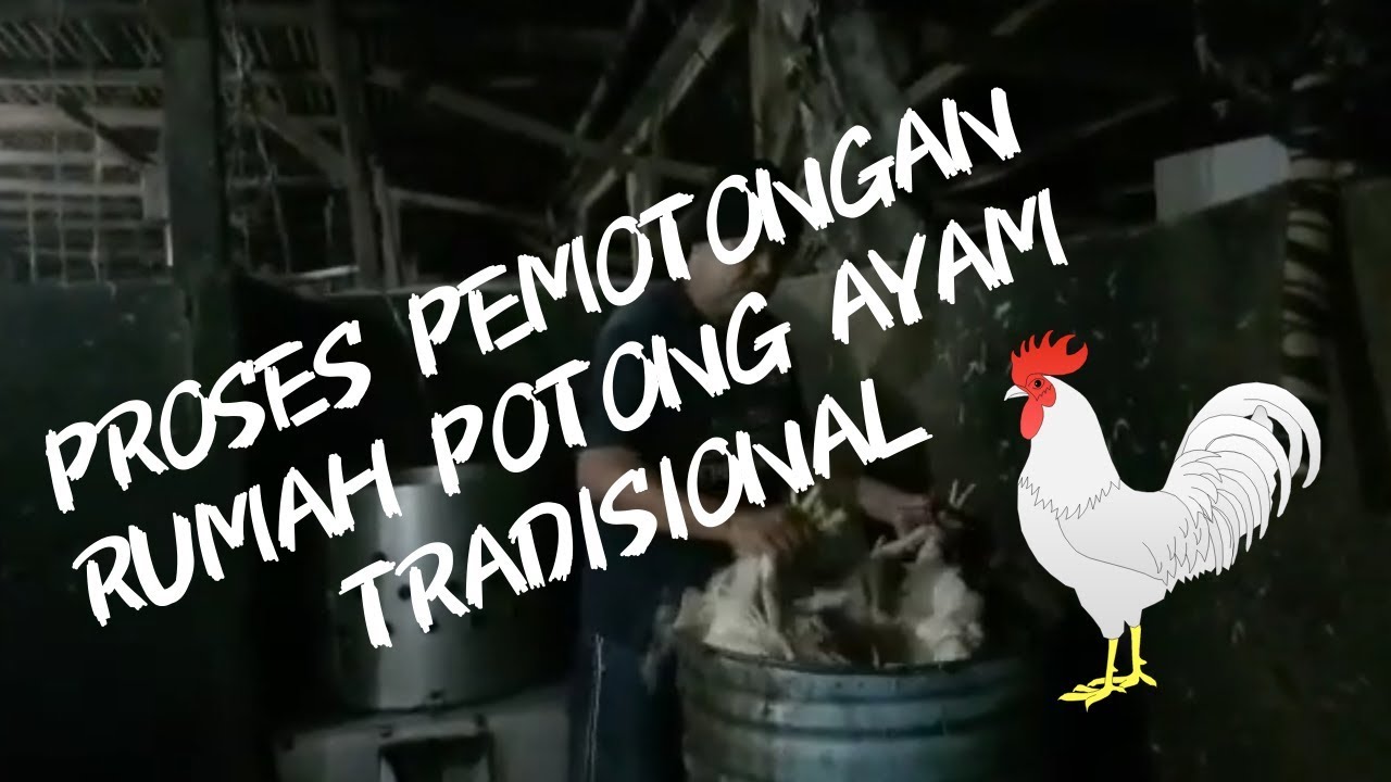 Detail Rumah Potong Ayam Nomer 53