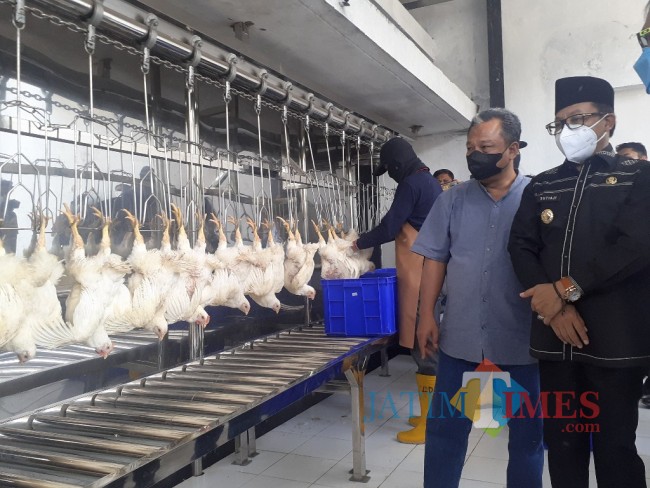 Detail Rumah Potong Ayam Terbesar Di Indonesia Nomer 29