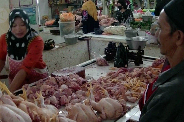 Detail Rumah Potong Ayam Terbesar Di Indonesia Nomer 38