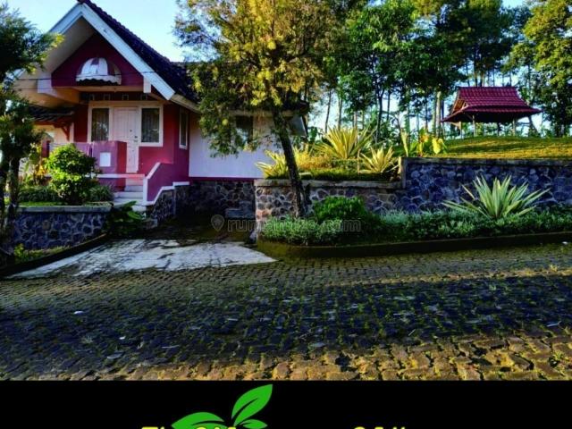 Rumah Puncak Bogor - KibrisPDR