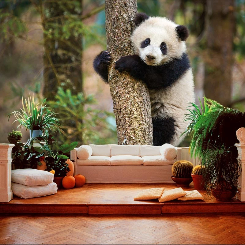 Detail Wallpaper Dinding Kamar Panda Nomer 45