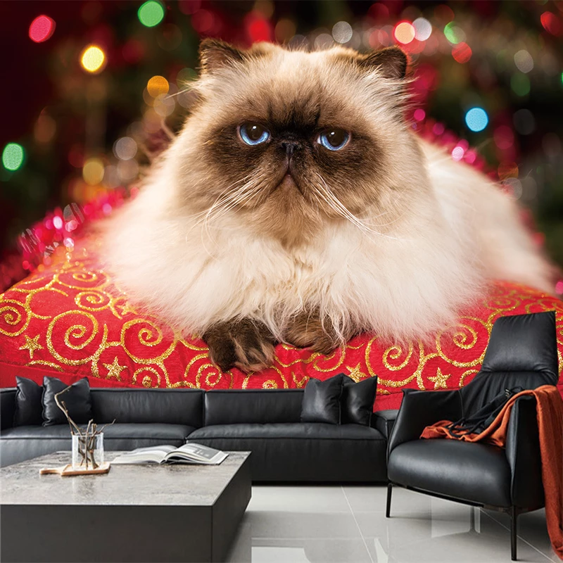 Detail Wallpaper Dinding Kucing Nomer 24