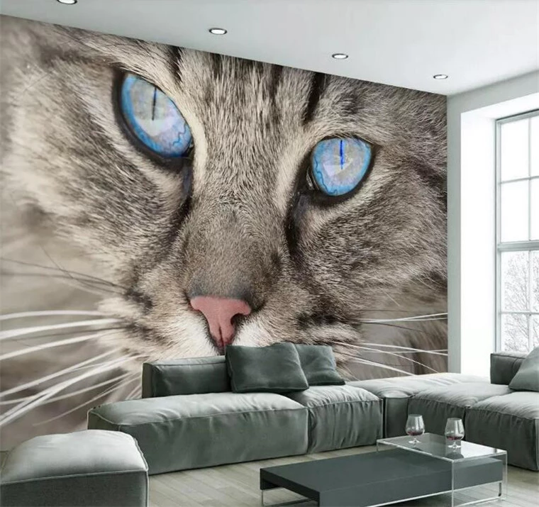Detail Wallpaper Dinding Kucing Nomer 36